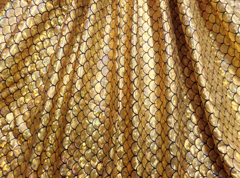 9.Gold Fish Scale Hologram Foil